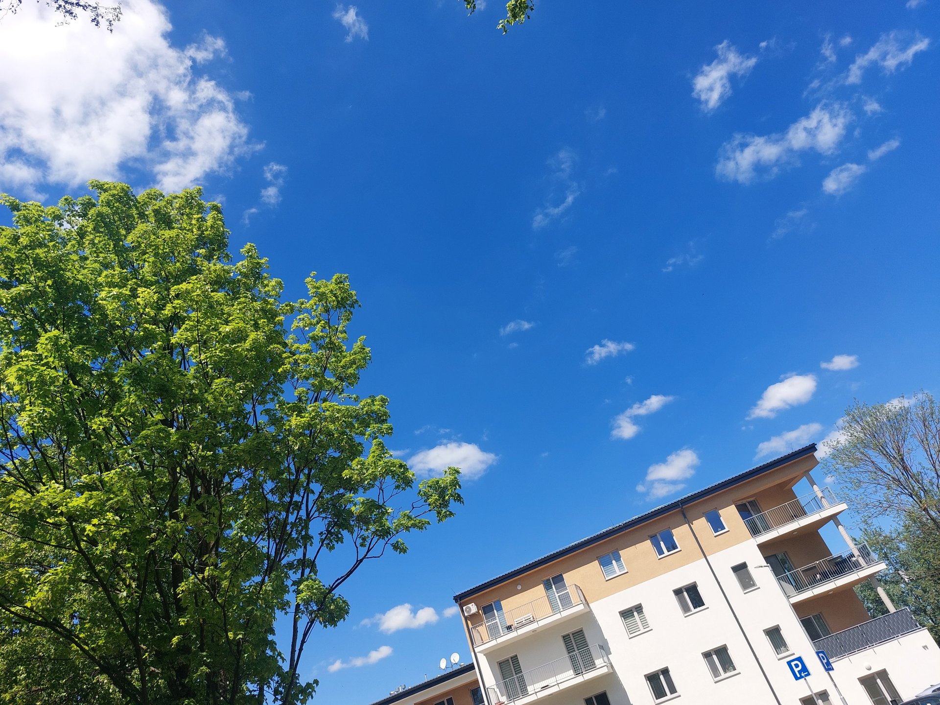 Apartment Building Javorová – photo 4