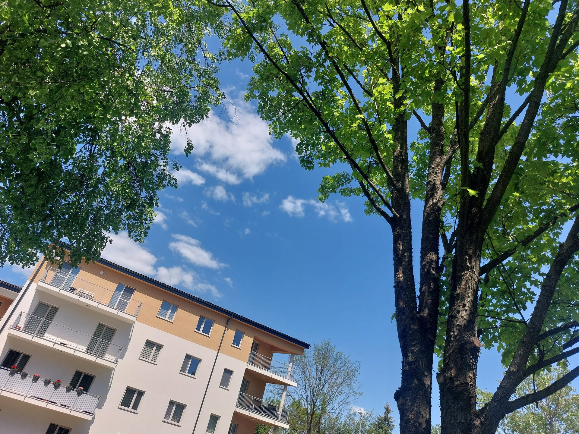 Apartment Building Javorová – photo 11
